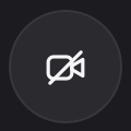 icon-voice-camera
