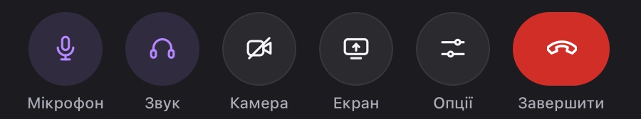 Кнопки повної панелі: Мікрофон, Звук, Камера, Екран, Опції, Завершити